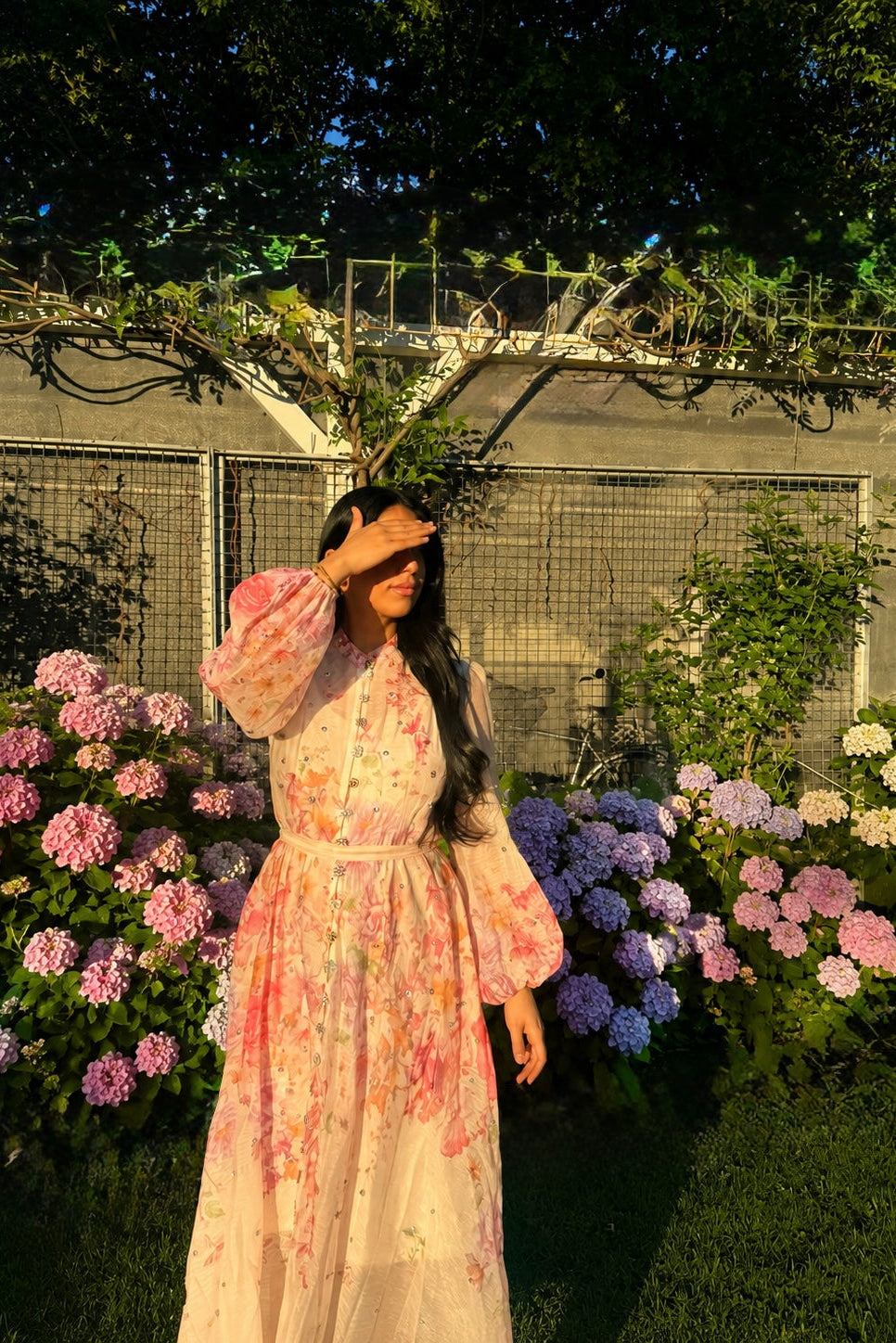 Rosé Enchanté